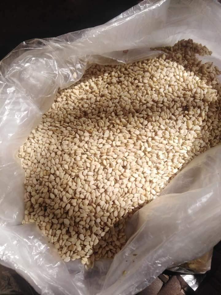 Semillas de sésamo premium para exportación – Alta calidad y limpias from Tanzania